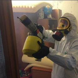 Уничтожение клопов в квартире. Белый